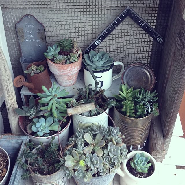 Nanaさんの実例写真