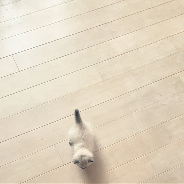 yu-iさんの実例写真
