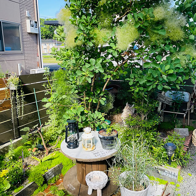 mayumiさんの部屋