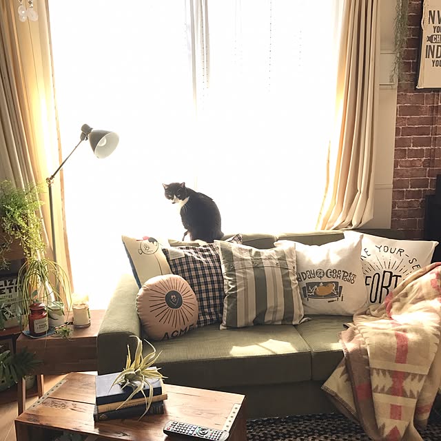 mikasakuさんの実例写真