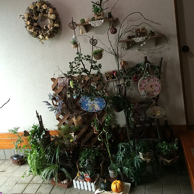 mk_2929さんの実例写真