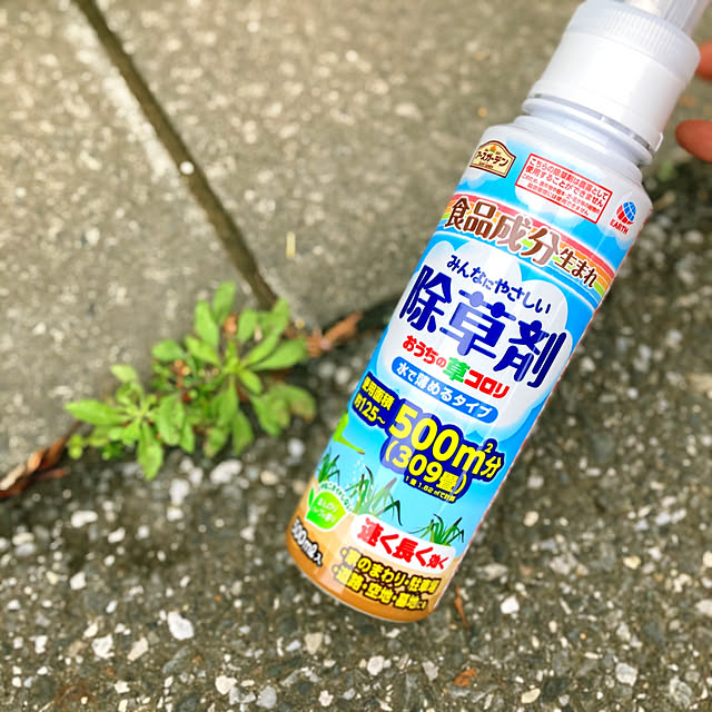 sunabaさんの部屋