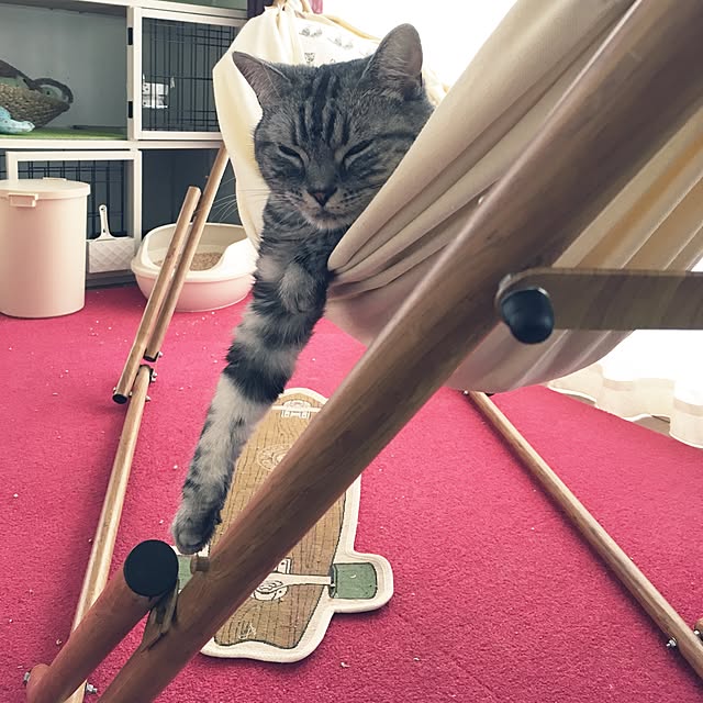 mikomaruさんの実例写真