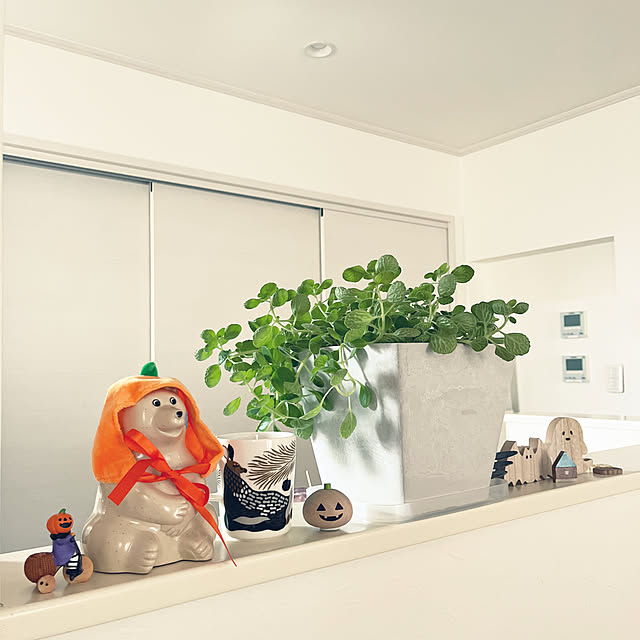 asasouさんの実例写真