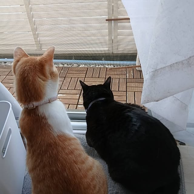 Tさんの実例写真