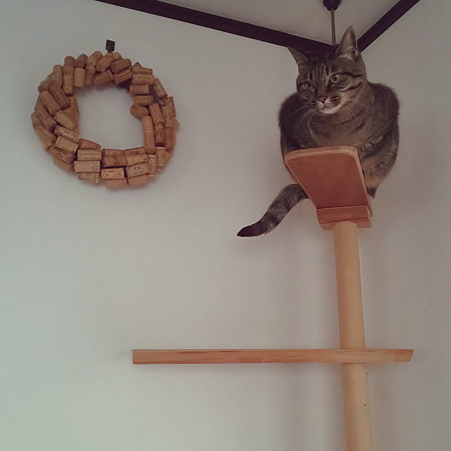 komugiさんの実例写真