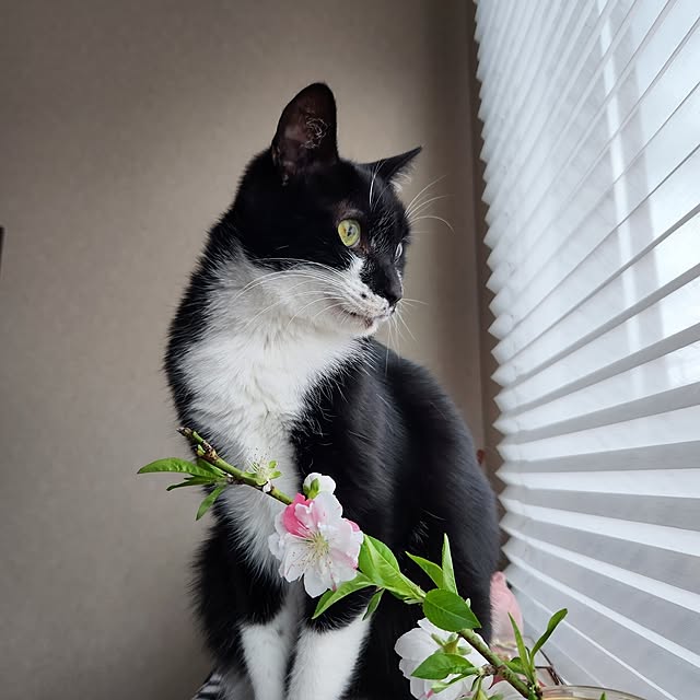 taroさんの実例写真