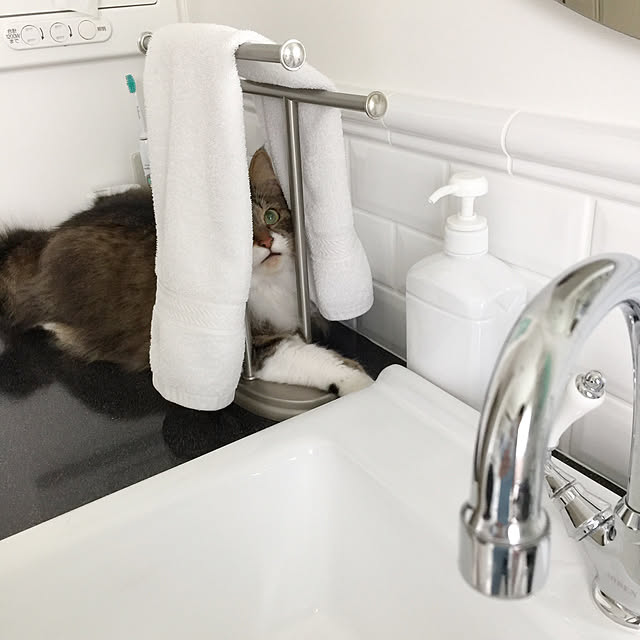 yuchiさんの実例写真