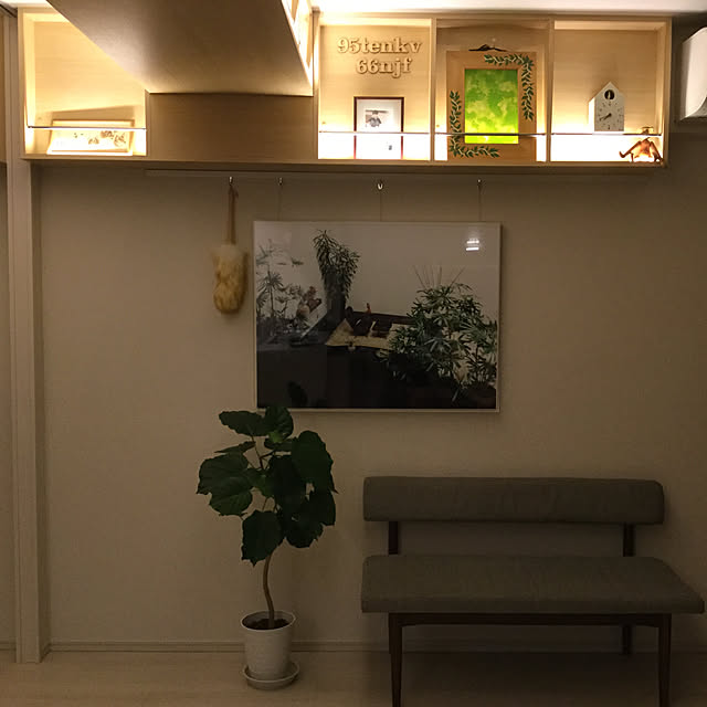 darasaさんの実例写真