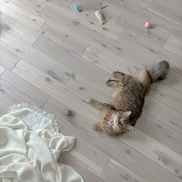 miyu39さんの部屋