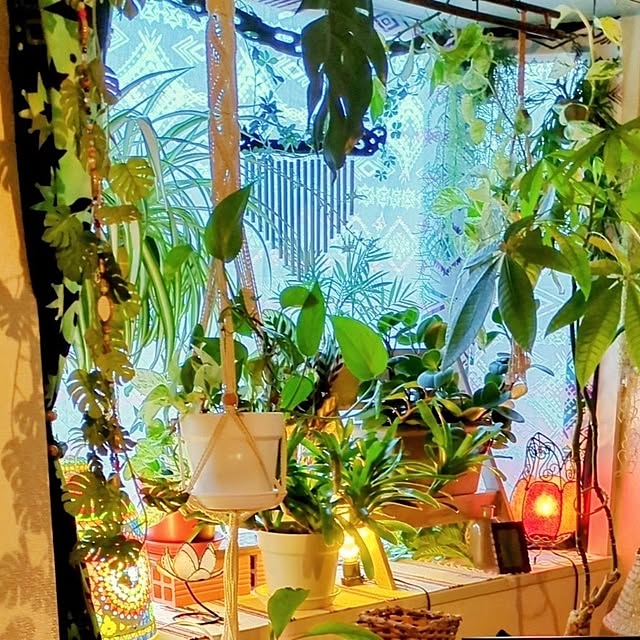 Michikoさんの実例写真