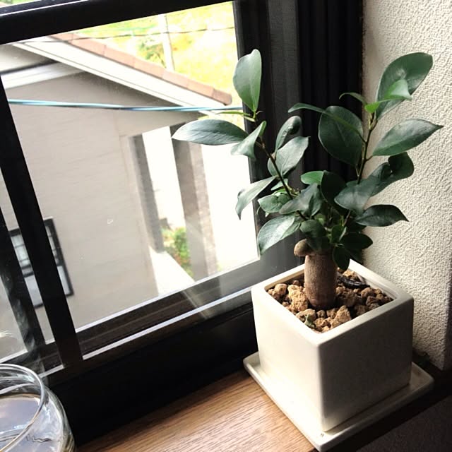 L.さんの実例写真
