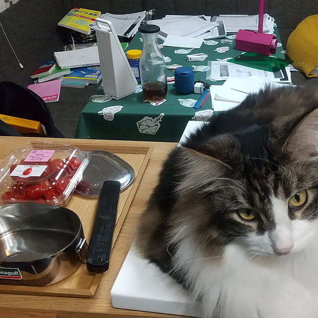 実例写真