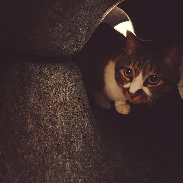 marinkarinさんの部屋
