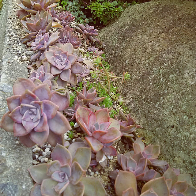 nami824さんの実例写真