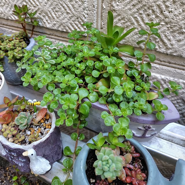 25Moondropsさんの実例写真