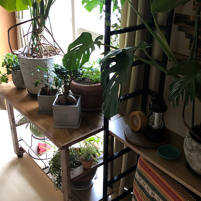 sabutoku109さんの部屋
