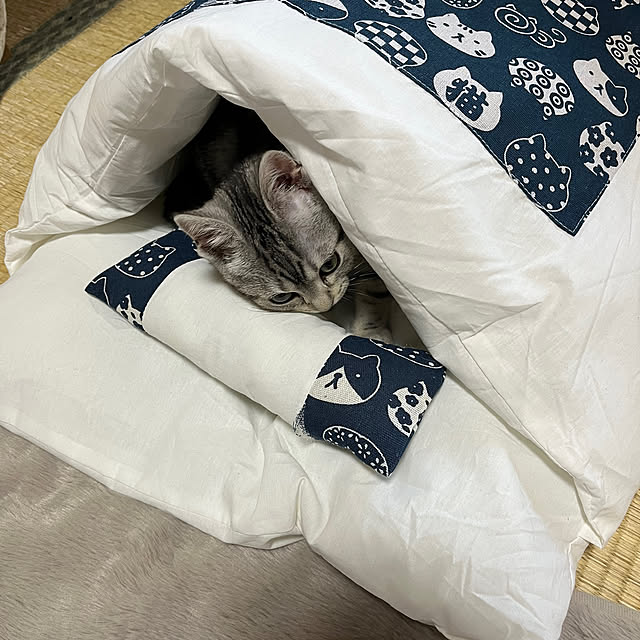 shunmomさんの実例写真