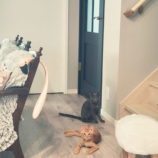 nyanpeiさんの実例写真