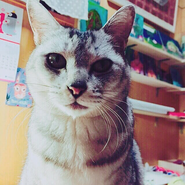 Akariさんの実例写真