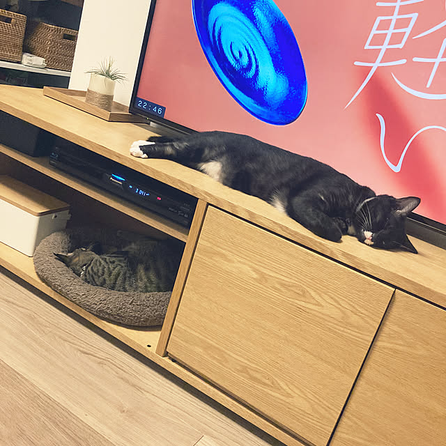 masamasaさんの実例写真