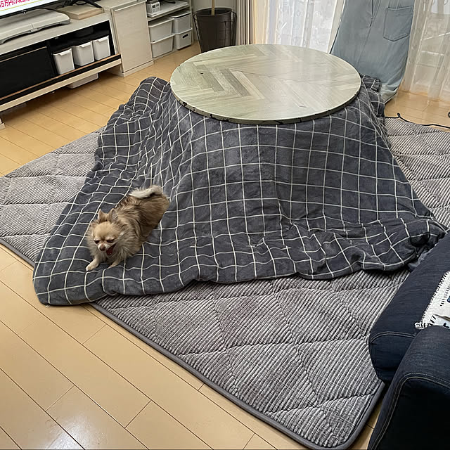 BbBbさんの実例写真