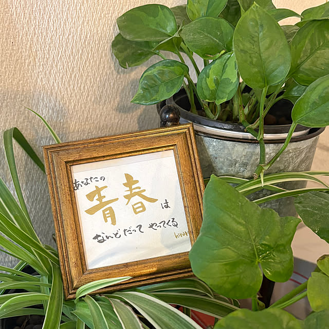 hirariさんの実例写真