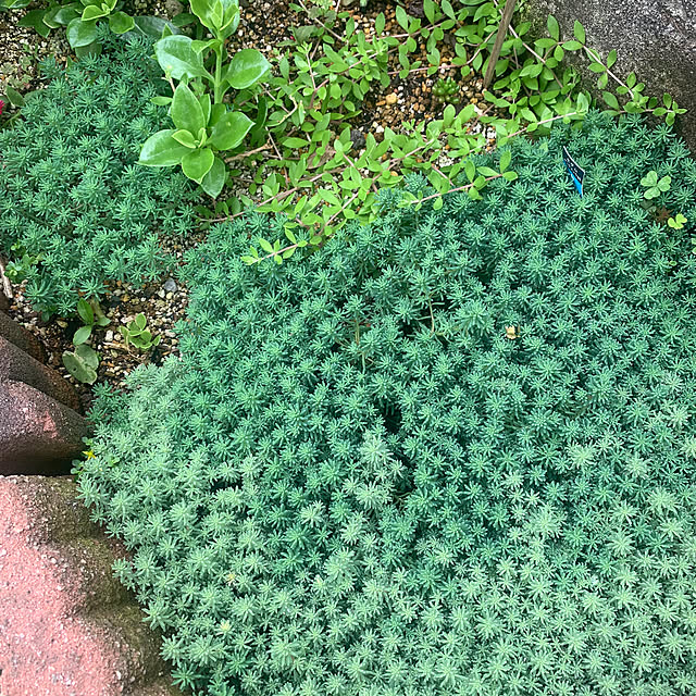 Fumiさんの部屋