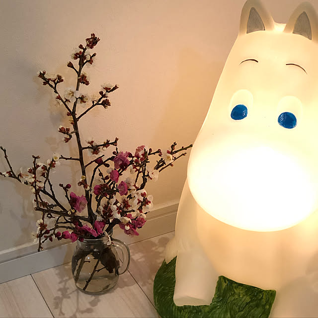 sukkorobiさんの実例写真