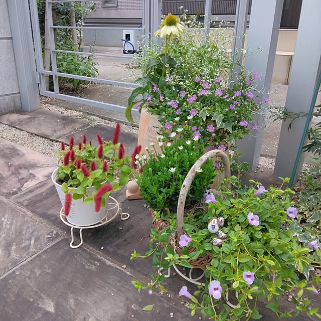 mii-sanさんの実例写真