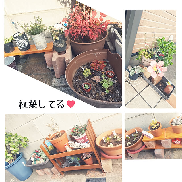 hanapanさんの実例写真