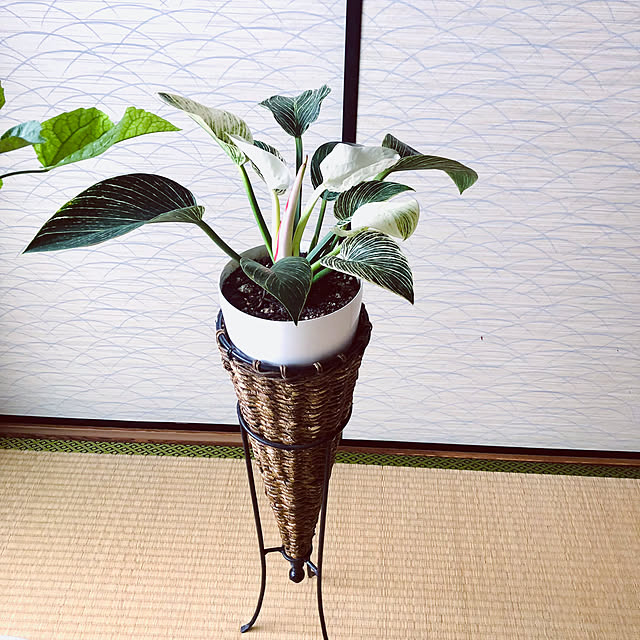 hanachanさんの実例写真