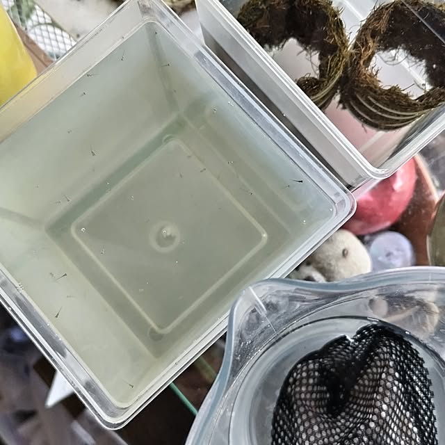 mi-saさんの部屋