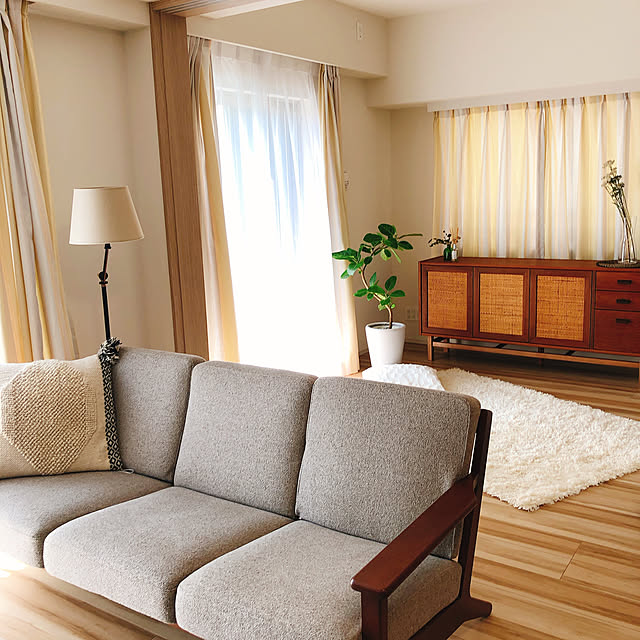 観葉植物/北欧/部屋全体のインテリア実例 - 2020-04-06 14:09:42