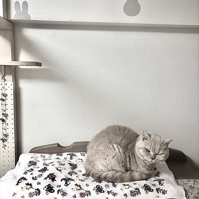naokoさんの部屋