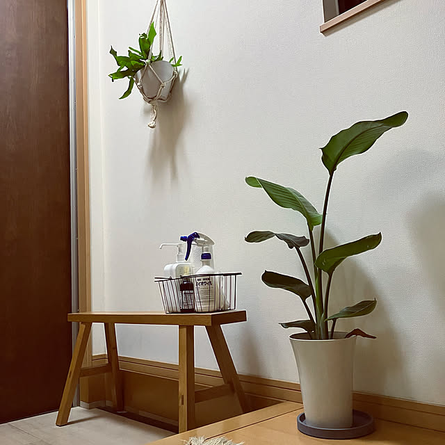 banana_oさんの実例写真