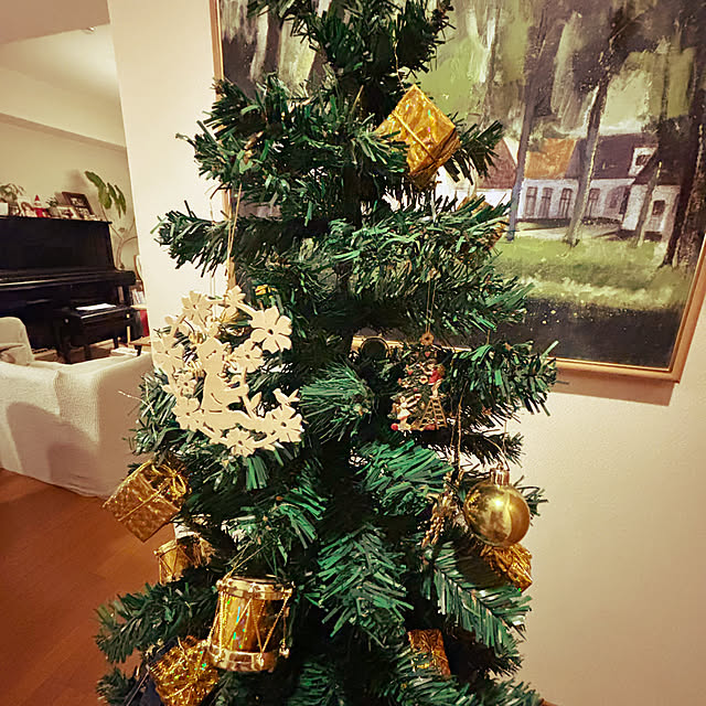 cottoncottonさんの部屋