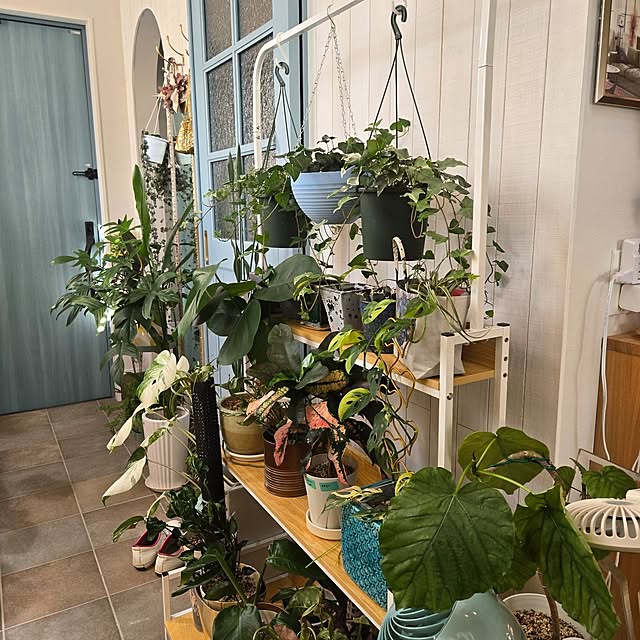 nonbiri_house_さんの部屋