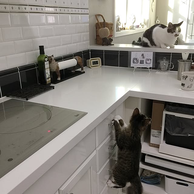 yuchiさんの実例写真