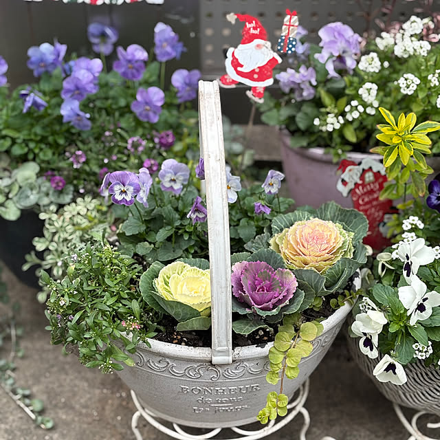 maayaさんの部屋