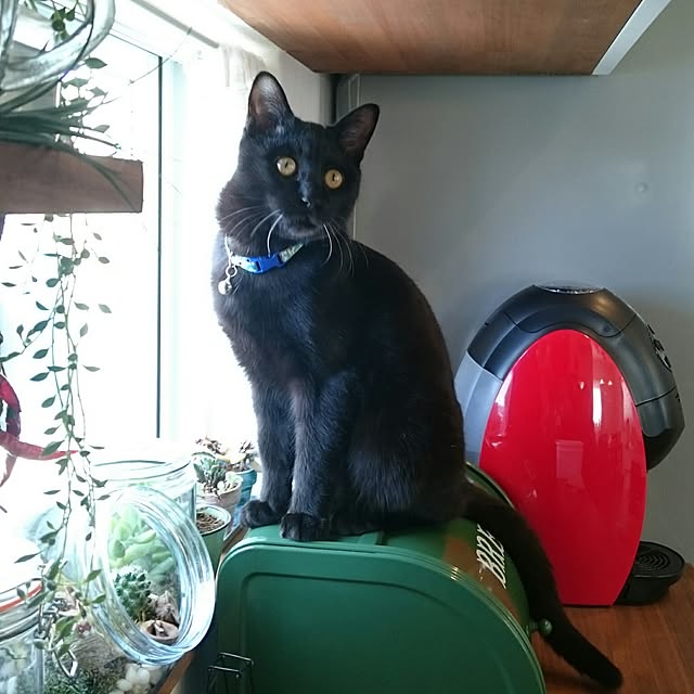 hiroさんの実例写真