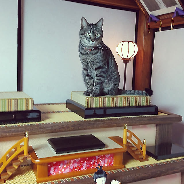 実例写真