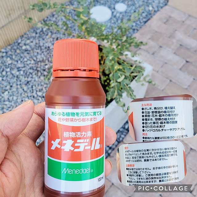 tomatopapaさんの実例写真