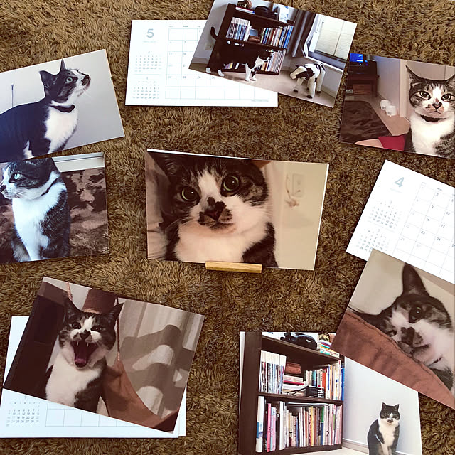 JUENさんの実例写真