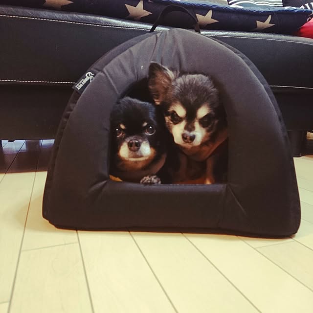lovepeaceさんの実例写真