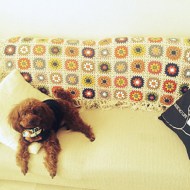 fumifumiさんの実例写真