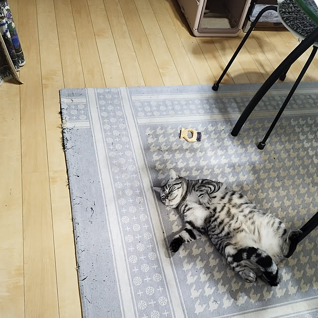 hiro3さんの実例写真