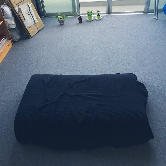 Onettoさんの実例写真