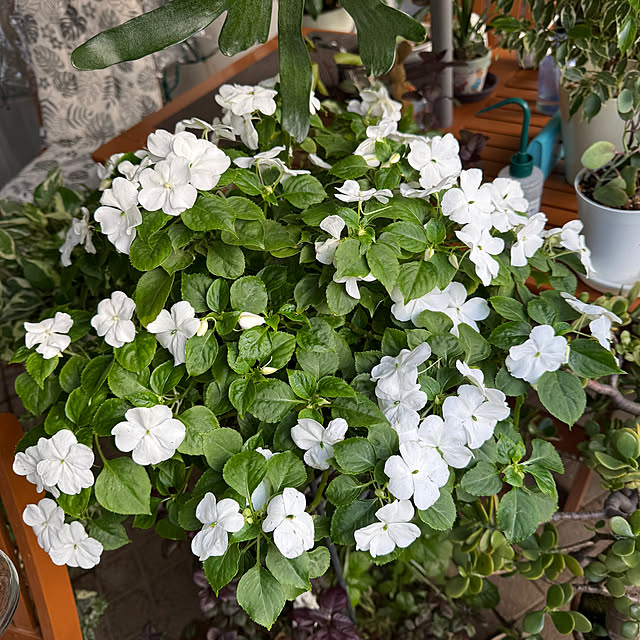 Aqettyさんの部屋