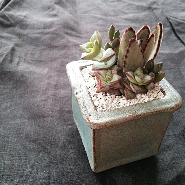 Toiroさんの実例写真